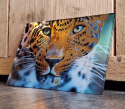 Speciale Fotoprints - Afbeelding 10