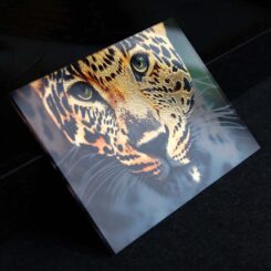 Speciale Fotoprints - Afbeelding 2