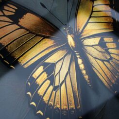 Speciale Fotoprints - Afbeelding 3