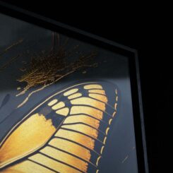 Speciale Fotoprints - Afbeelding 4