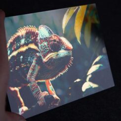 Speciale Fotoprints - Afbeelding 5