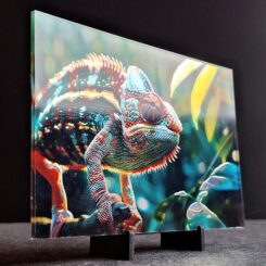 Speciale Fotoprints - Afbeelding 6