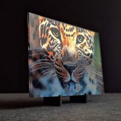 Speciale Fotoprints - Afbeelding 8