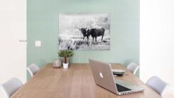 Foto op Aluminium - Afbeelding 3