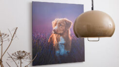 Foto op Canvas