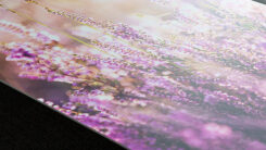 Foto op Forex - Afbeelding 2
