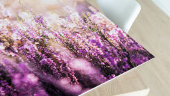 Foto op Forex - Afbeelding 3