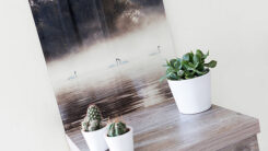 Foto op Plexiglas® - Afbeelding 3