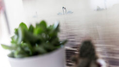 Foto op Plexiglas® - Afbeelding 2