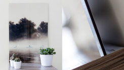 Foto op Plexiglas®