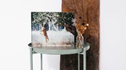Foto op Acrylblok