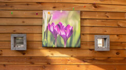 Foto op Tuincanvas - Afbeelding 3