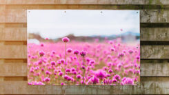 Foto op Tuinposter - Afbeelding 3