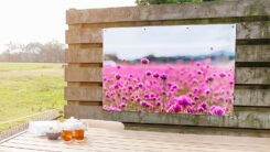 Foto op Tuinposter