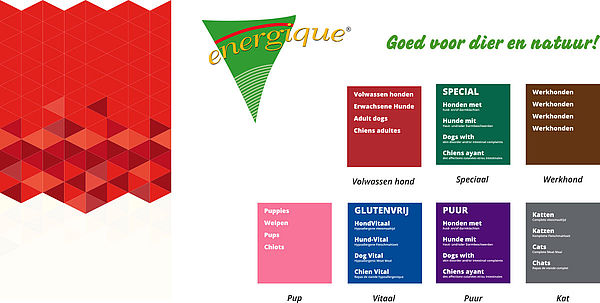 csm_energique_styleguide_60a8e2ad5e